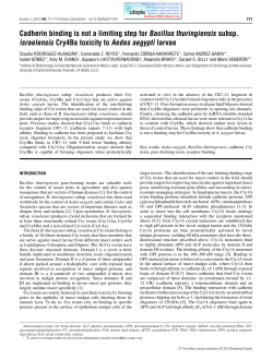 Cadherin binding is not a limiting step for Bacillus thuringiensis
