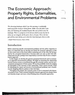 The Economic Approach: Property Rights, Externalities,