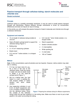 Passive transport through cellulose tubing: starch molecules and