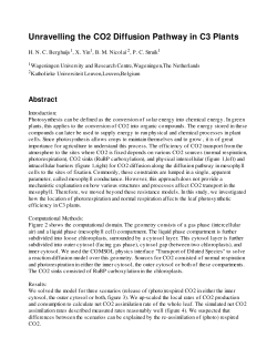 Unravelling the CO2 Diffusion Pathway in C3 Plants