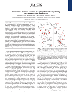 Simultaneous Detection of Protein Phosphorylation and Acetylation