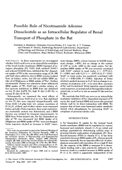 Possible Role of Nicotinamide Adenine