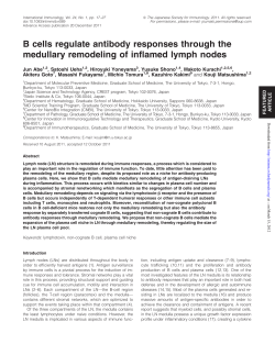B cells regulate antibody responses through the medullary
