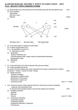 NAME - Kcse Online