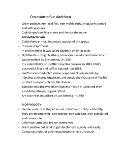Corynebacterium diphtheriae