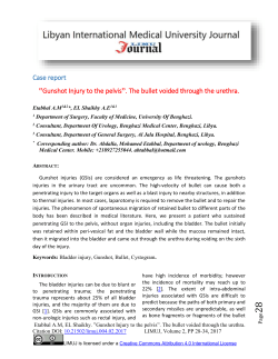 docx - Libyan International Medical University Journal