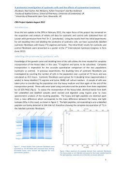 A proteomic investigation of cystinotic cells and the effects of