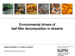 Environmental drivers of leaf litter decomposition in streams