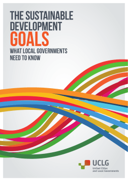 The Sustainable Development Goals: What Local Governments