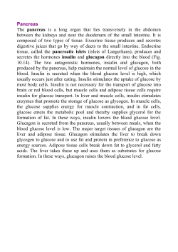 Pancreas