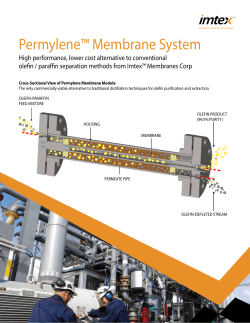 Permylene&trade; Membrane System