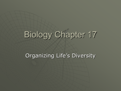 Biology Chapter 17 - Holden R