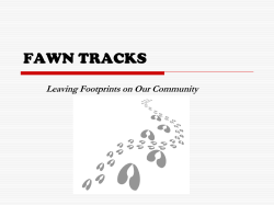 school connectedness