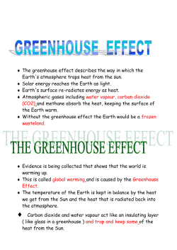 PROBLEMS CAUSED BY THE GREENHOUSE t EFFECT