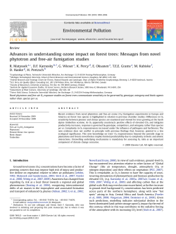 Advances in understanding ozone impact on forest