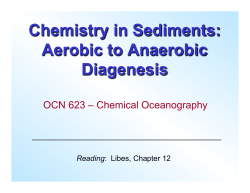 Chemistry in Sediments: Aerobic to Anaerobic Diagenesis