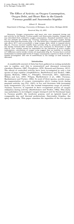 The Effect of Activity on Oxygen Consumption