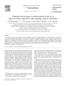 Flattened cortical maps of cerebral function in the rat: A region