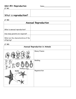 SSA #3&mdash;Reproduction