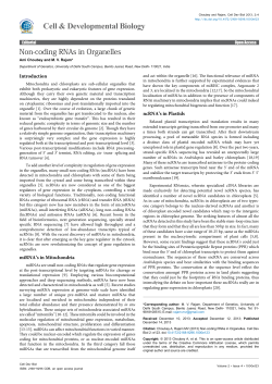 Non-coding RNAs in Organelles