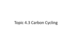 Topic 4.3 Carbon Cycling