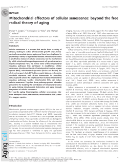 Mitochondrial effectors of cellular senescence