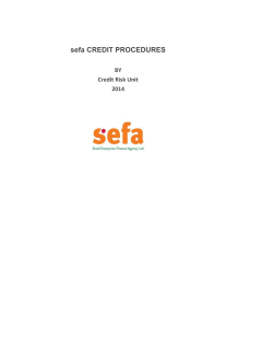 sefa CREDIT PROCEDURES