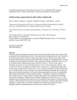 Our accounting of fluxes and sinks in oceanic and terrestrial carbon