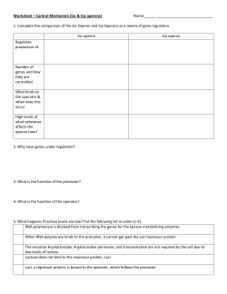 Gene Regulation Worksheet