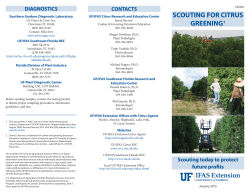 scouting for citrus greening1 - EDIS