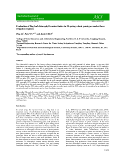 Evaluation of flag leaf chlorophyll content index in 30 spring wheat