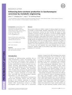 Enhancing beta‐carotene production in Saccharomyces cerevisiae