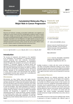 Cytoskeletal Molecules Play a Major Role in Cancer Progression