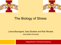 Effects of Heat Stress on Lactating Dairy Cattle