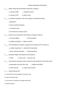 Cellular Respiration Worksheet 1.____ When living cells break