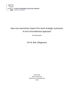 How non-executives impact firm level strategic outcomes: A micro