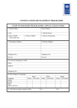 undp internship programme application form