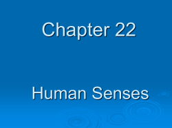 Image - Mr.E Science