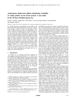 Autonomous underwater gliders monitoring variability at choke