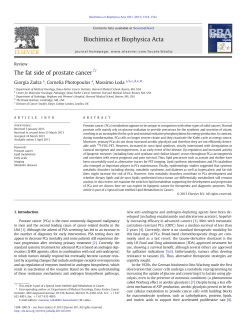 The fat side of prostate cancer - Associa&ccedil;&atilde;o Brasileira de Medicina