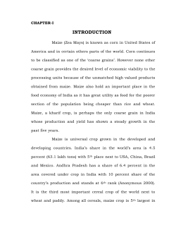 Maize (Zea Mays) is otherwise known as corn in United States of