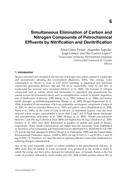 Simultaneous Elimination of Carbon and Nitrogen Compounds of