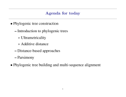 Agenda for today &bull; Phylogenic tree construction &ndash; Introduction to