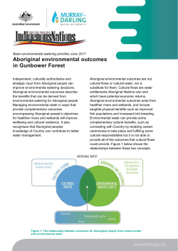 Aboriginal environmental outcomes in Gunbower Forest
