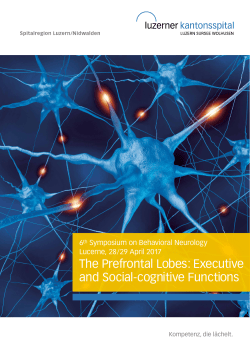 The Prefrontal Lobes: Executive and Social