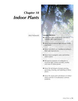 Indoor Plants - Clemson University