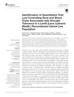 Identification of Quantitative Trait Loci Controlling Root and Shoot