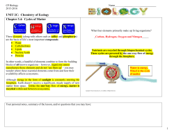 Cycles of Matter