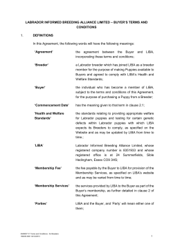 LABRADOR INFORMED BREEDING ALLIANCE LIMITED