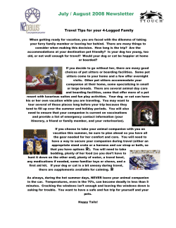 Diet / Nutrition for Your Dog